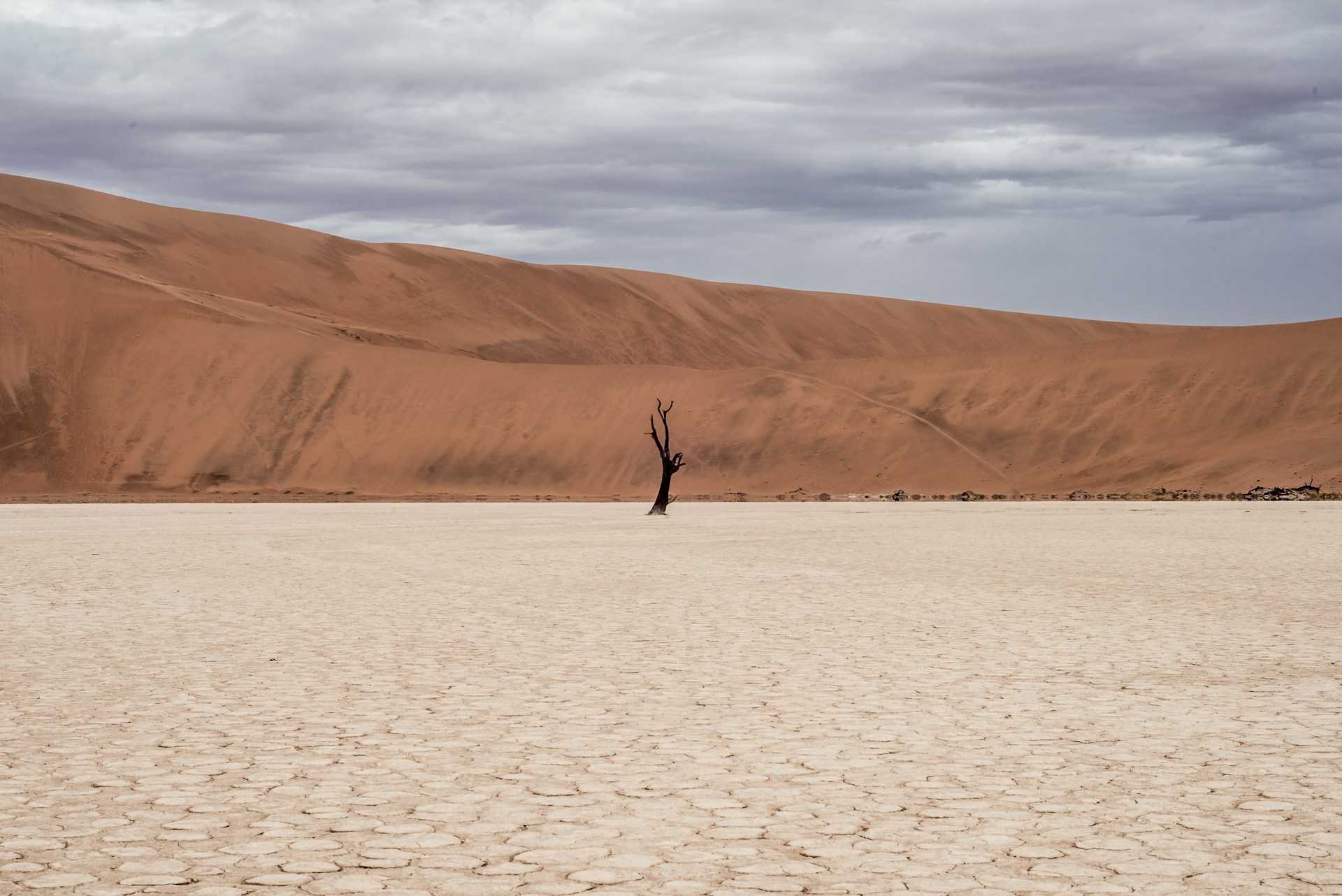 Featured image for “Men of the Spiritual Wilderness”